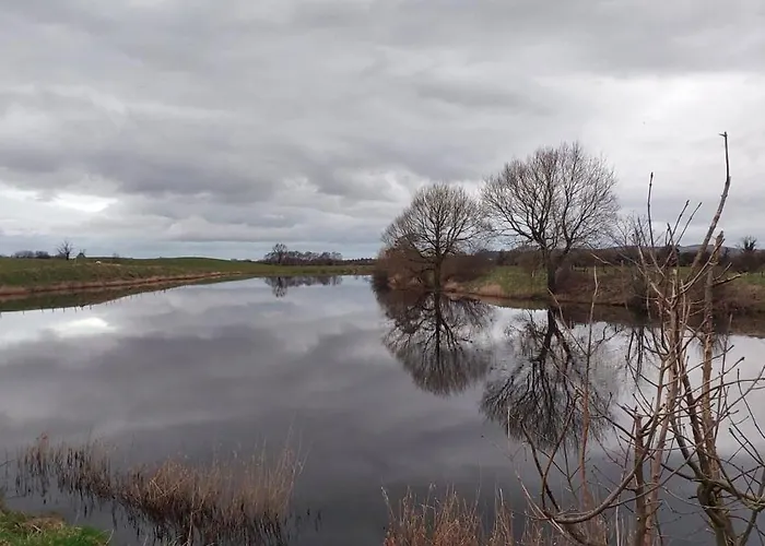 Crillaun Апартаменты